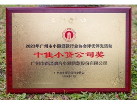 十佳小贷公司奖